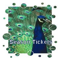 Season Tickets